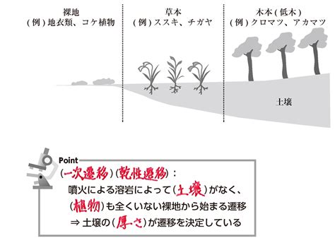 一次遷移|遷移 (生物学)